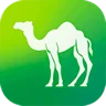 Camel Live logo
